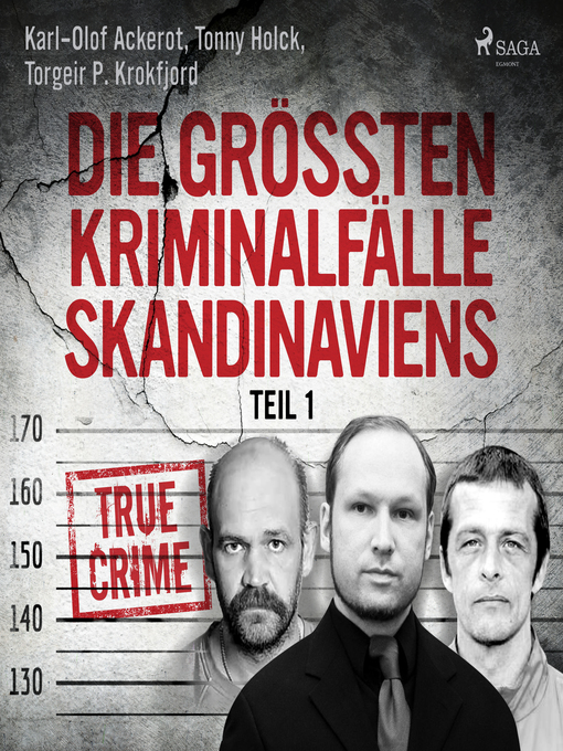 Title details for Die größten Kriminalfälle Skandinaviens--Teil 1 by Tonny Holk - Available